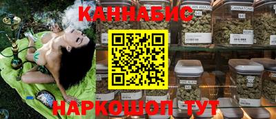 стафф Донецк