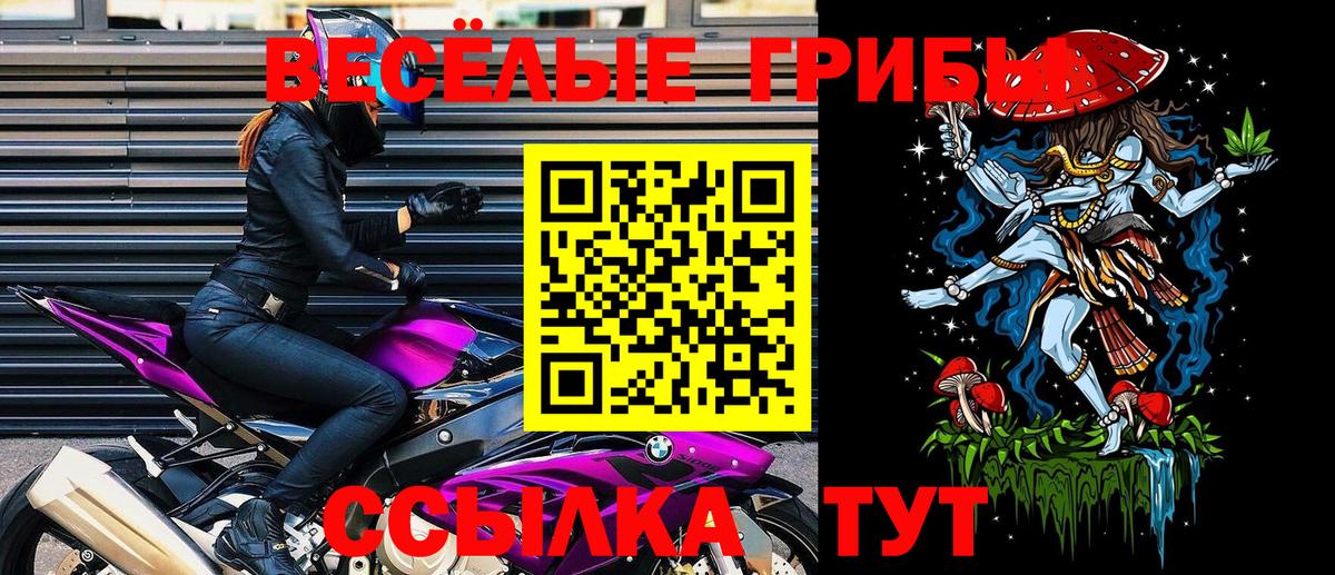 Галлюциногенные грибы прущие грибы Лянтор